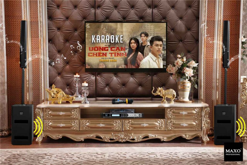 phong-karaoke-gia-dinh-loa-column-2