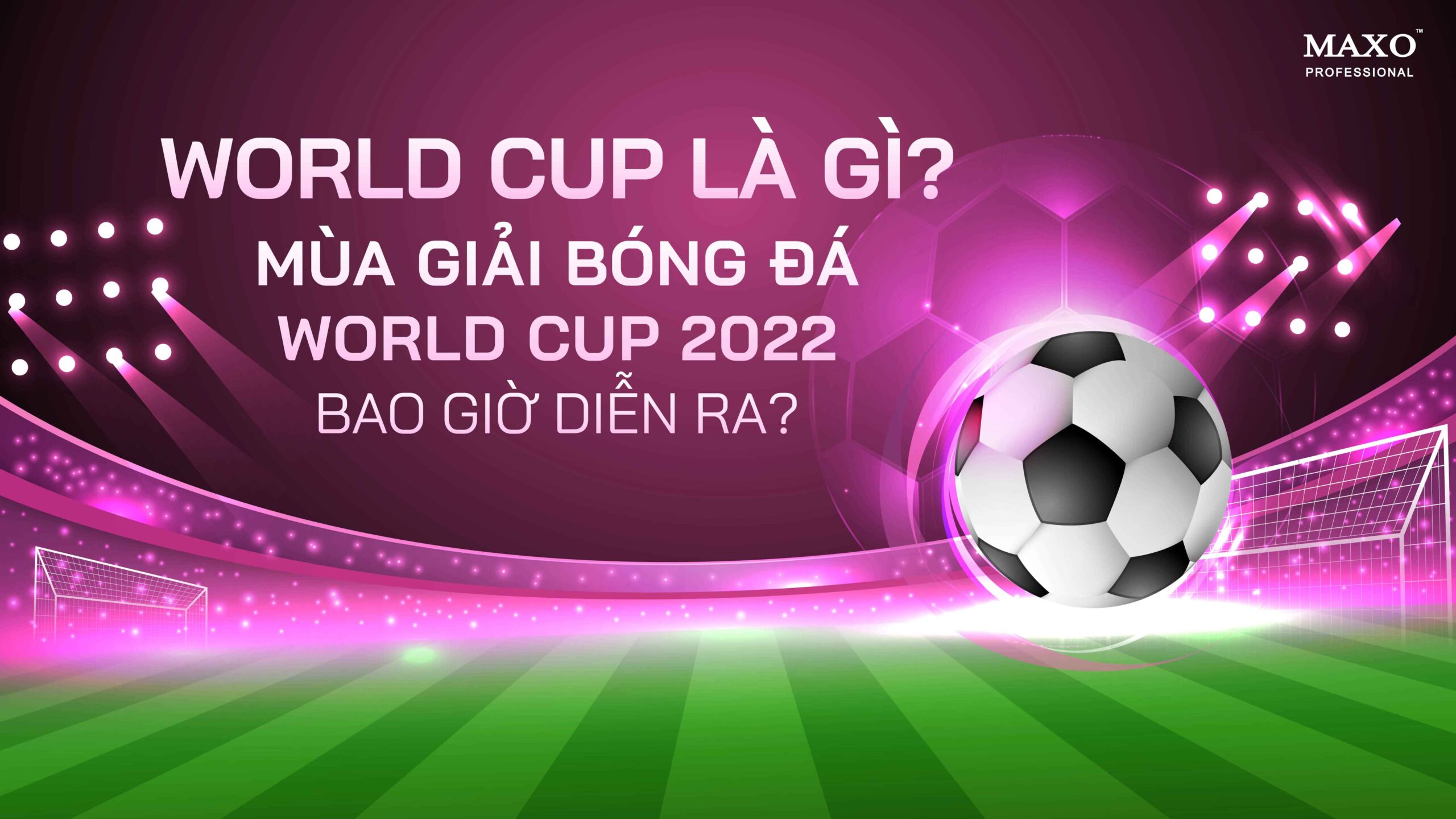 worldcup-la-gi-mua-giai-bong-da-worldcup-2022-bao-gio-dien-ra