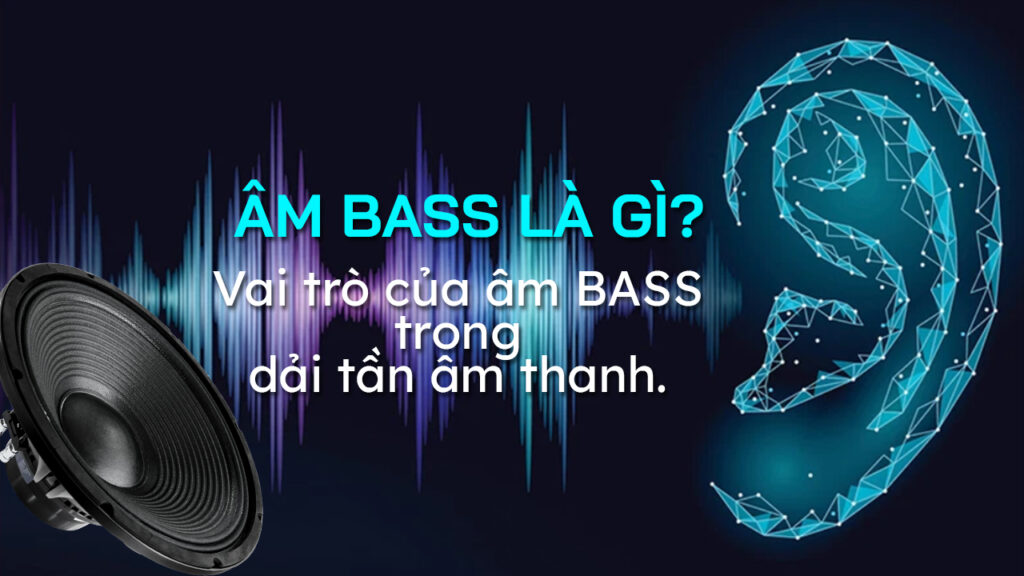 am-bass-la-gi-vai-tro-cua-am-bass-trong-dai-tan-am-thanh