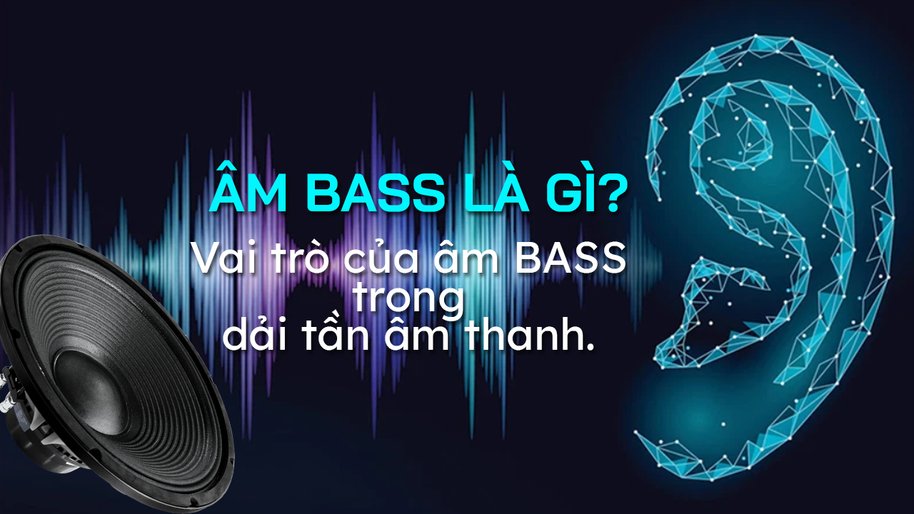 am-bass-la-gi-vai-tro-cua-am-bass-trong-dai-tan-am-thanh