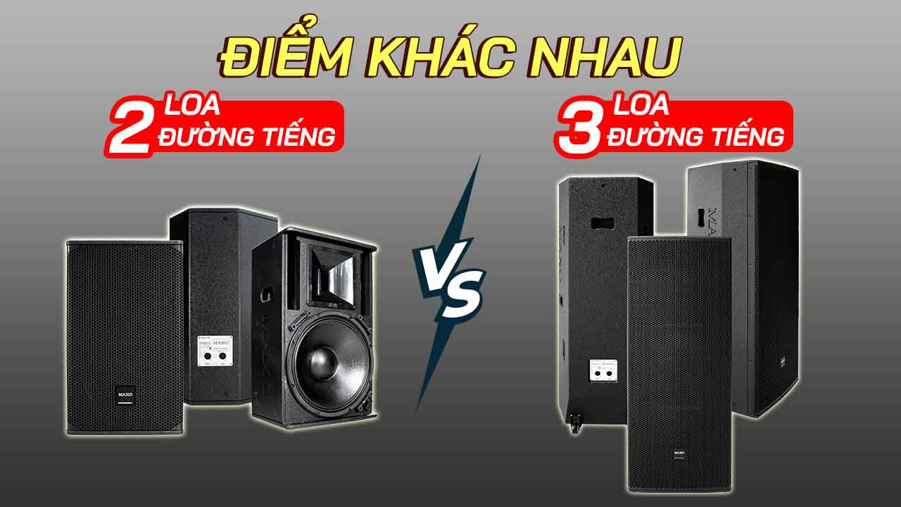 07-diem-khac-nhau-giua-loa-2-duong-tieng-va-3-duong-tieng
