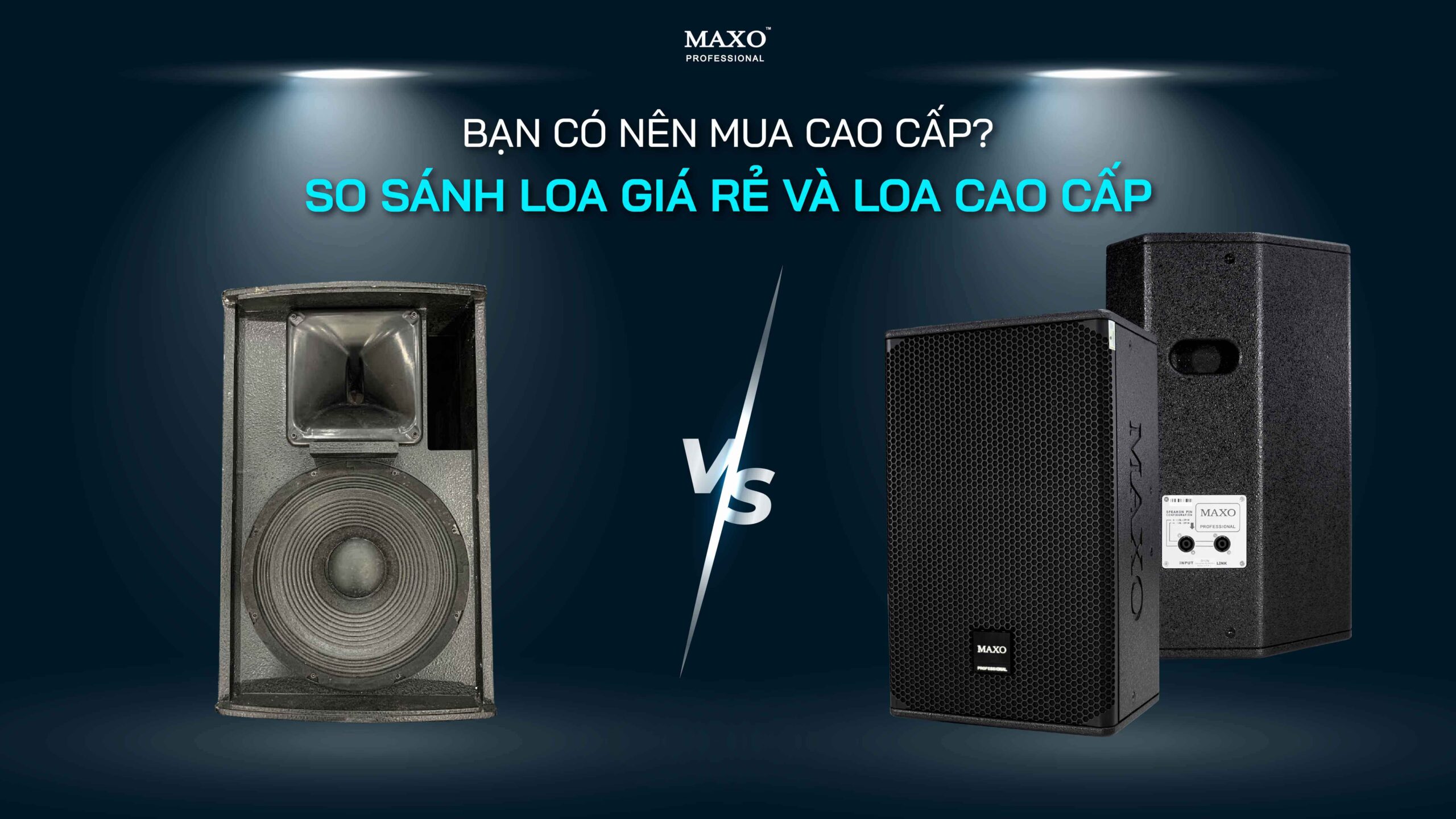 14-ban-co-nen-mua-loa-cao-cap-so-sanh-loa-gia-re-va-loa-cao-cap