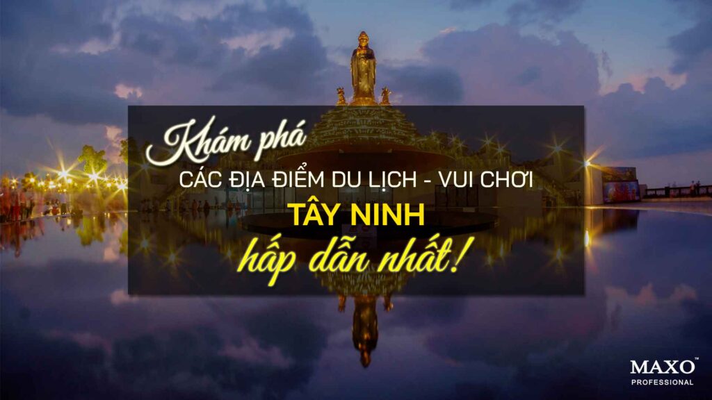 02-tong-hop-cac-bai-hat-hay-cua-hoang-tu-nhac-Rap-HIEUTHUHAI