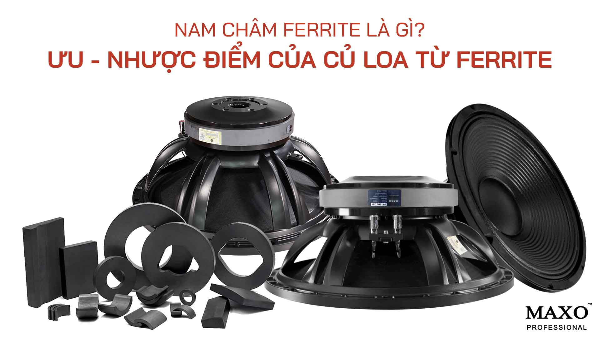12-nam-cham-ferrite-la-gi-uu-nhuoc-diem-cua-cu-loa-tu-ferrite