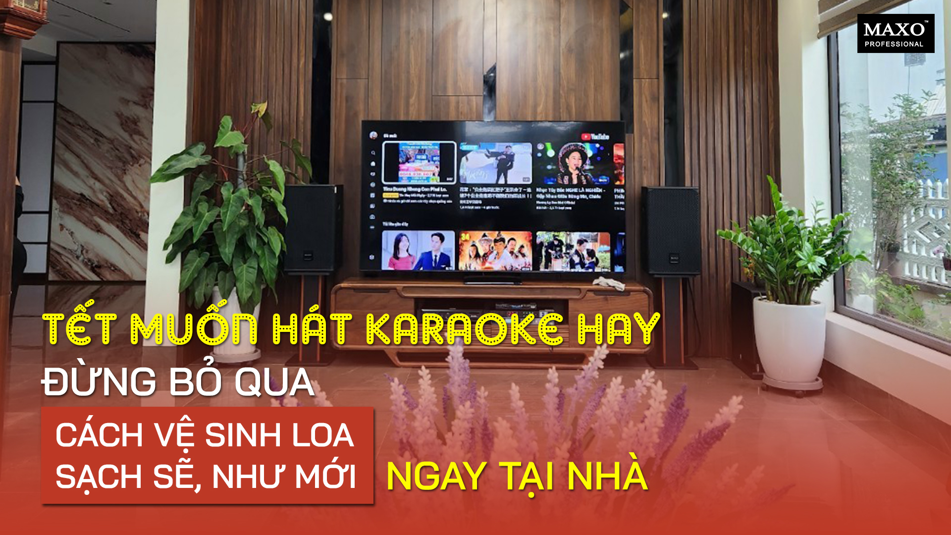 tet-muon-hat-karaoke-hay-dung-bo-qua-cach-ve-sinh-loa-sach-se-nhu-moi-ngay-tai-nha