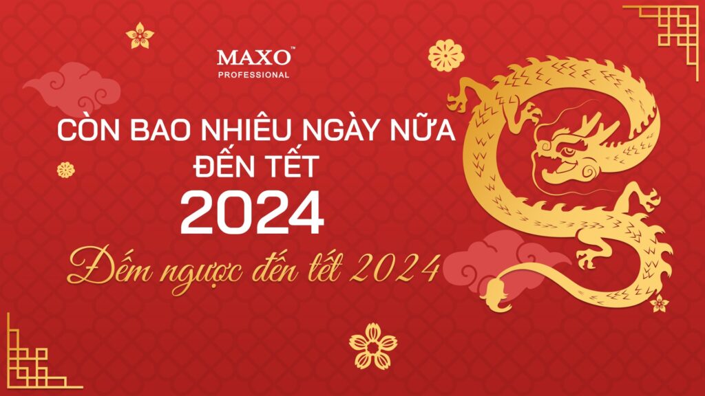 con-bao-nhieu-ngay-nua-den-tet-2024-dem-nguoc-den-tet-2024