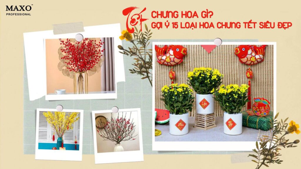 tet-chung-hoa-gi-goi-y-15-loai-hoa-chung-tet-sieu-dep