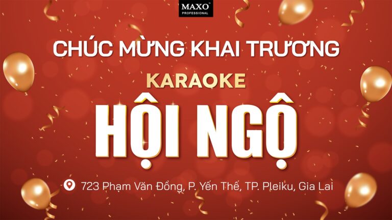 chuc-mung-khai-truong-karaoke-hoi-ngo-pleiku-gia-lai