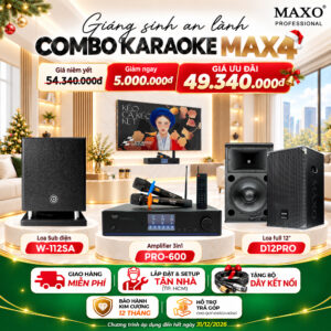 combo-karaoke-max4-loa-d12pro-loa-sub-dien-w112sa-ampli-3in1-pro600-noel-ver-1-2026